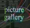 picture

gallery
