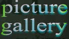 picture

gallery